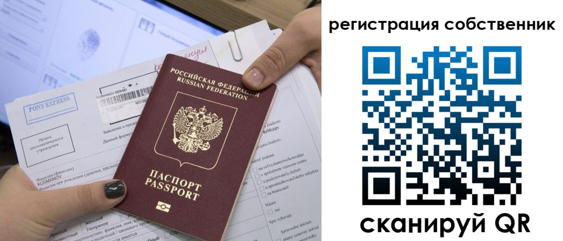 прописка поиск в Бородино